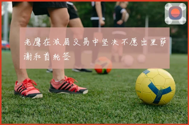 老鹰在浓眉交易中坚决不愿出里萨谢和首轮签